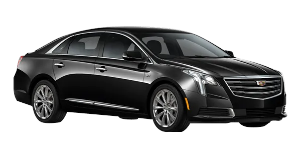 Sedan cadillac XTS for car service